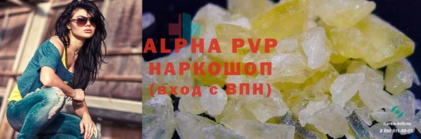 кокс Арсеньев