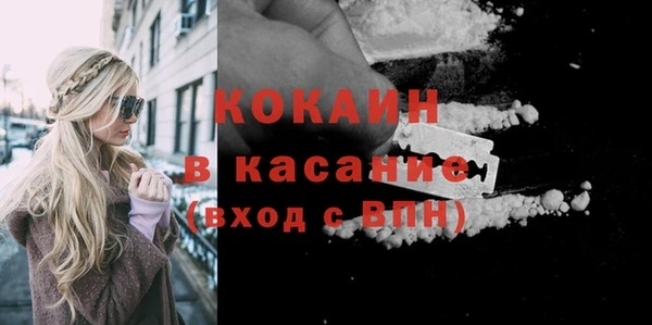 кокс Арсеньев