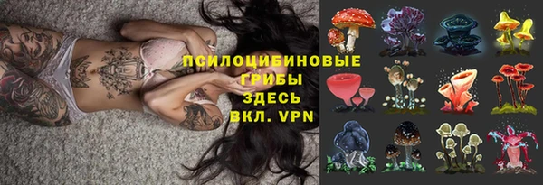 сатива Армянск