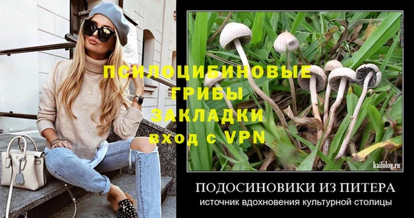 сатива Армянск