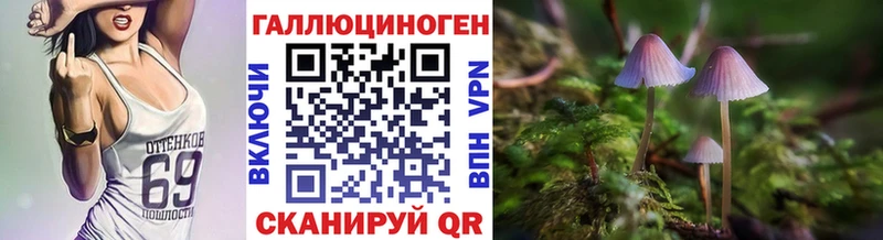 Псилоцибиновые грибы мицелий Няндома