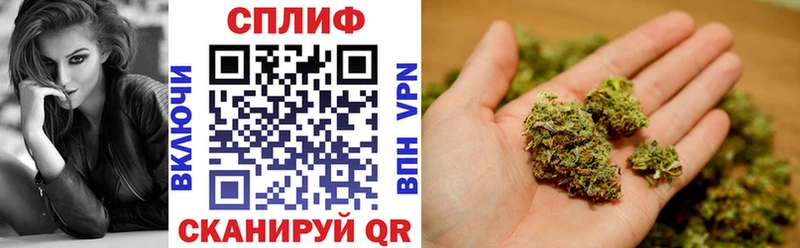 Шишки марихуана планчик  Няндома 